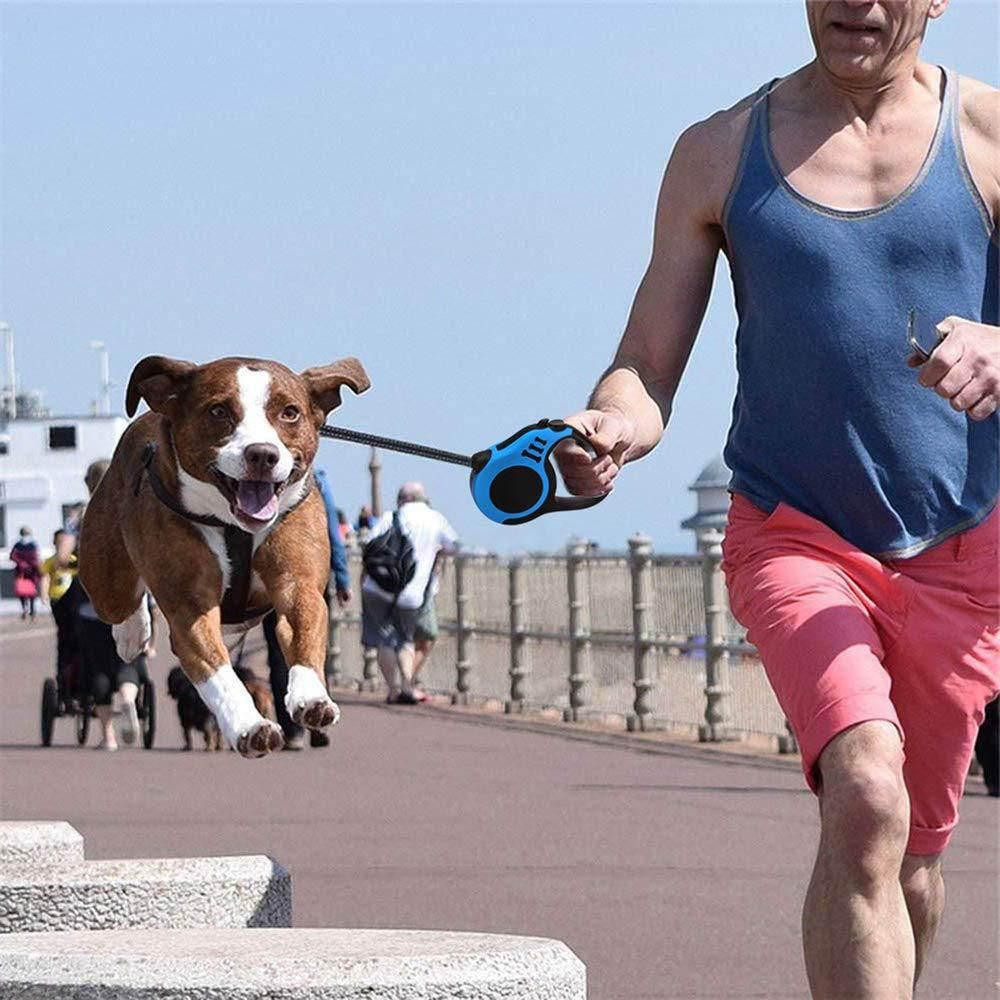 Retractable Pet Leash