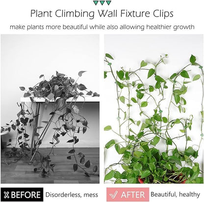 Plant Climbing Leaf Clips