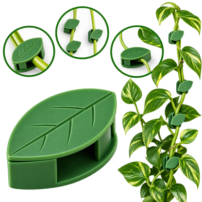 Plant Climbing Leaf Clips