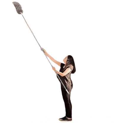 Fan Duster (Pack of 2)