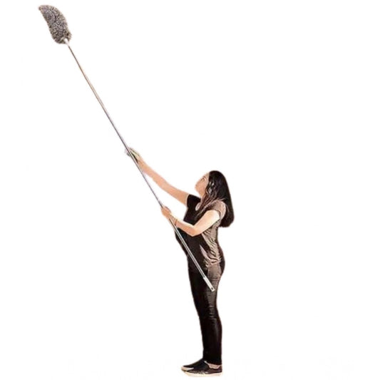 Fan Duster (Pack of 2)
