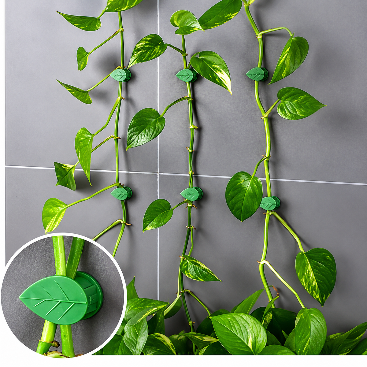 Plant Climbing Leaf Clips