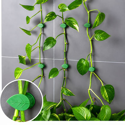 Plant Climbing Leaf Clips